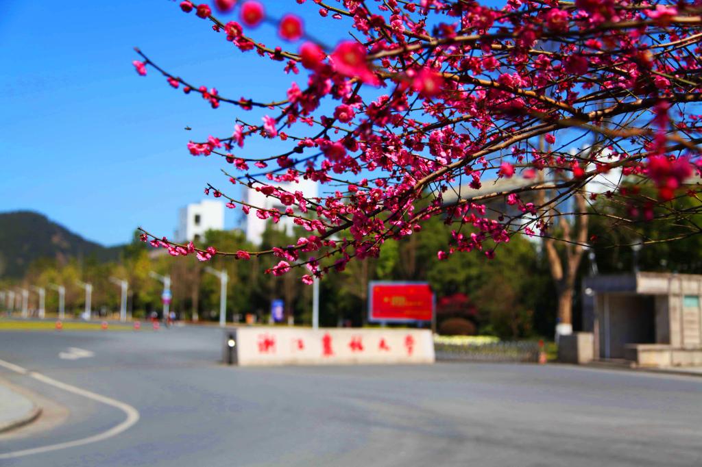 爱游戏官网冠名意甲主页