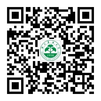 浙江省教学名师