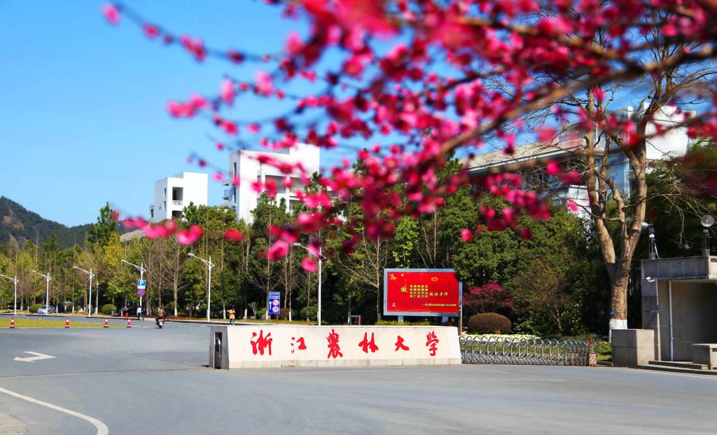 爱游戏官网冠名意甲