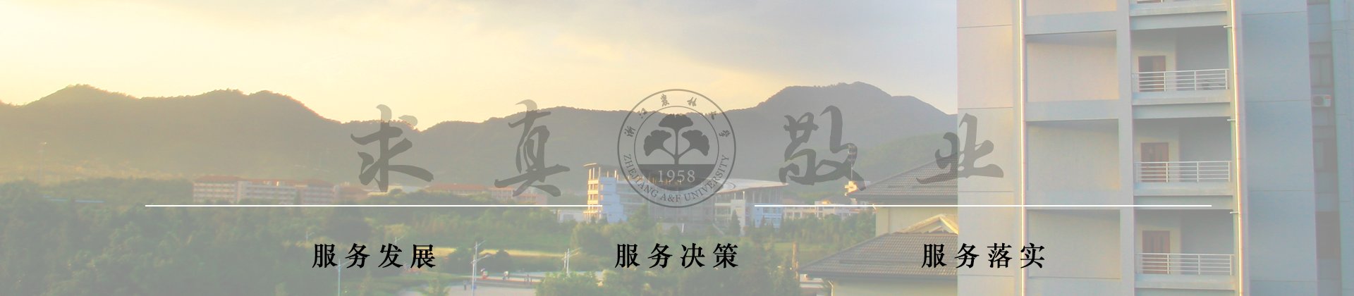 浙江·杭州市临安区武肃街666号 邮