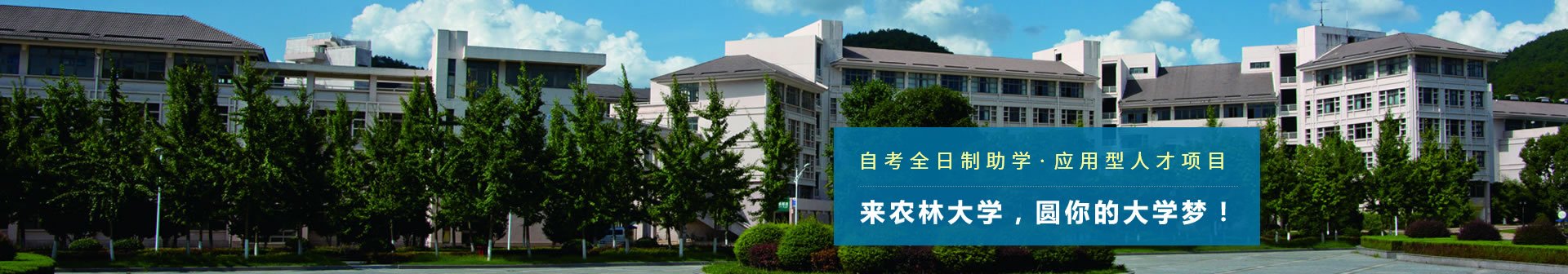 校园门户