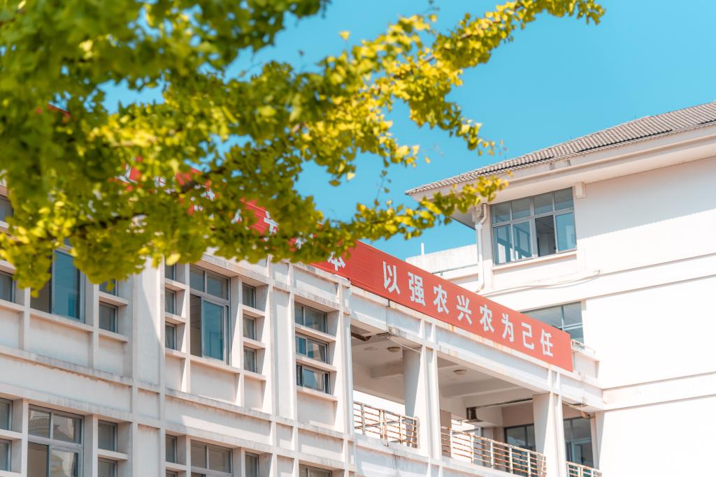 历任领导